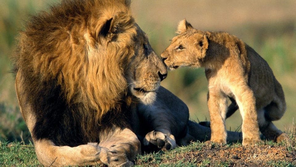 Father and son